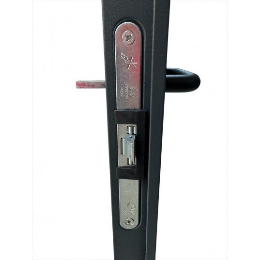 Porte Métallique Industrielle De Service Isolée Réversible L1000 X H2050 RAL 7016