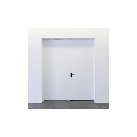 Porte Métallique Industrielle Coupe Feu 1H Droite Poussant Double 2 Vantaux L(800+800) X H2050 RAL 9010