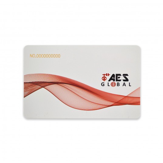 Carte à code unique fixe à 10 chiffres, 125 kHz