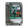 Carte SEA swing 2 amp